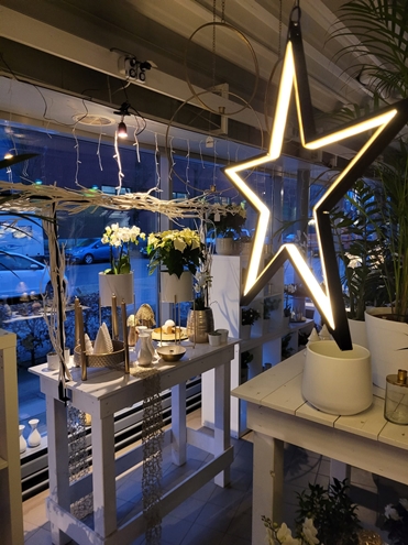 Weihnachtsblumen Hannover